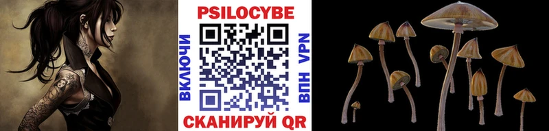 Псилоцибиновые грибы ЛСД  купить наркоту  omg сайт  Инза 